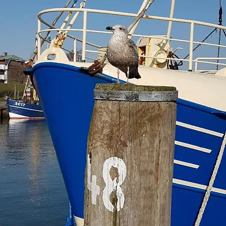 Rehn Apartament Büsum